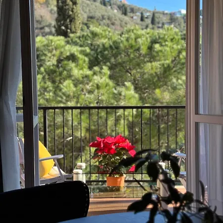 Apartament Vip With Swimming Pool
